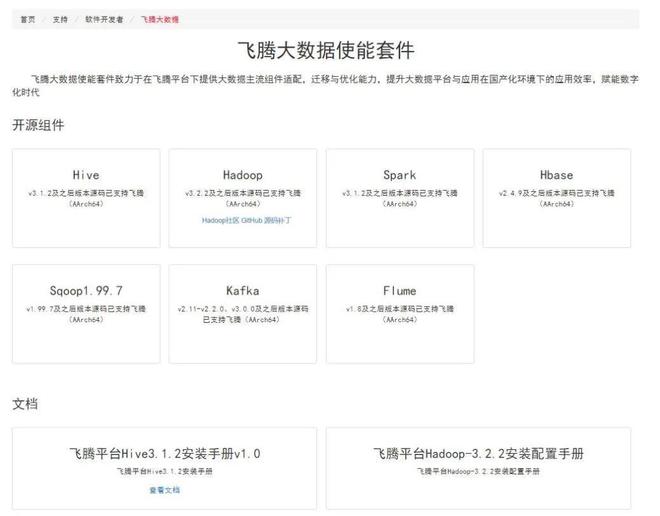 开云 开云体育探寻生态无限可能飞腾软件开发者平台正式上线！(图3)