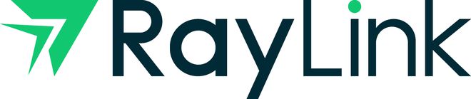 开云体育 开云平台RayLink远程控制软件：叮～你收到一份年度关键词报告(图3)