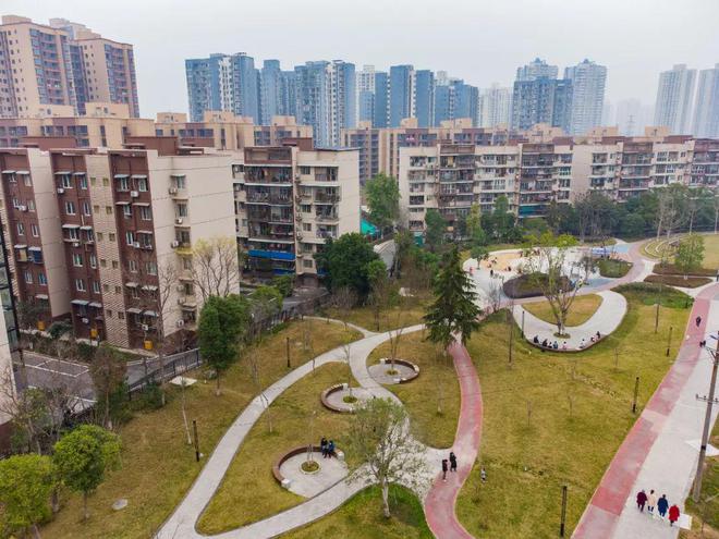 大年初二如火如“兔”！还有这些重要信息→开云体育 开云平台(图5)