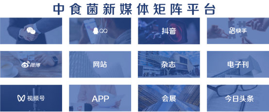 开云体育 开云官网凝心聚力毅勇前行 服务食用菌产业高质量发展——中国食用菌商务网2022年度年终总结表彰大会在京召开_产业资讯_新闻_中国商务网(图4)
