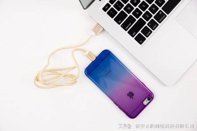 开云体育 开云平台直播软件开发可维护性是抢救系统的关键因素(图1)