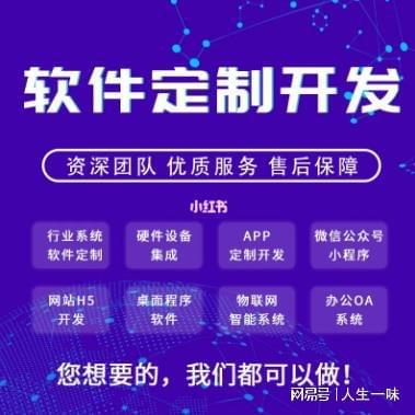 软件开发公司开云 开云体育平台前十排行榜（系统软件开发费用详解）(图1)