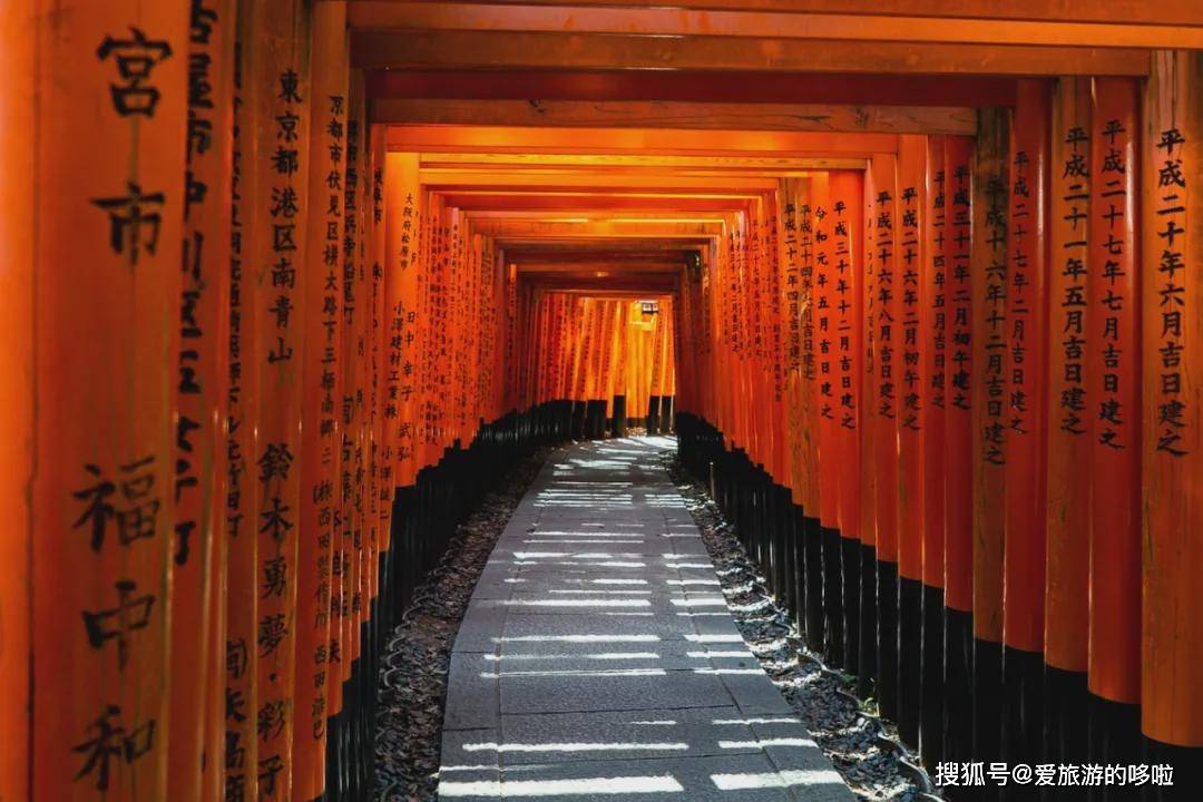 这5部豆瓣高分电影是最好的日本旅行vlog开云体育 Kaiyun.com 官网入口(图14)