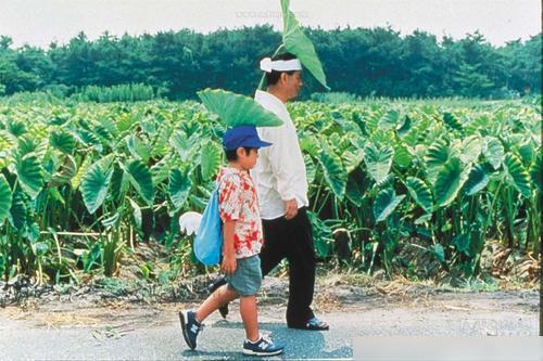 北野武的温情电影《菊次郎的夏天》愿你欣赏旅途风光！Kaiyun 开云(图3)