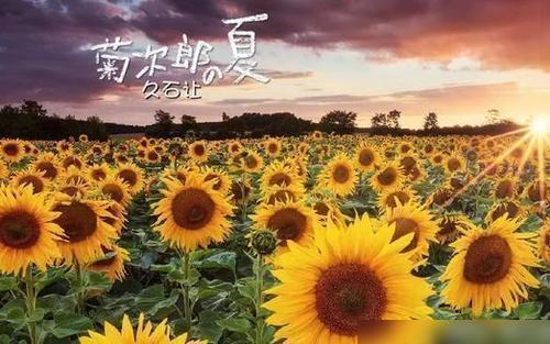 北野武的温情电影《菊次郎的夏天》愿你欣赏旅途风光！Kaiyun 开云(图4)