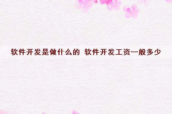 Kaiyun 开云软件开发是做什么的 软件开发工资一般多少(图1)
