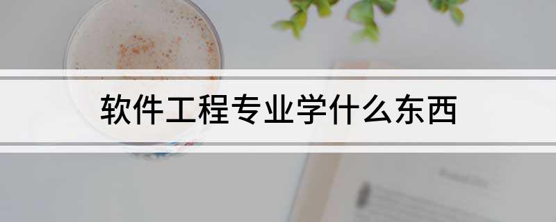 Kaiyun 开云软件工程专业学什么东西(图1)