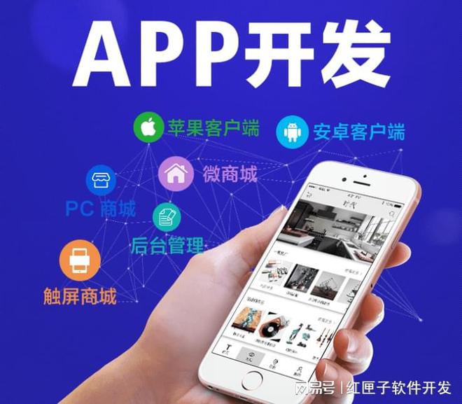 Kaiyun 开云开发一款app软件需要多少钱(图1)