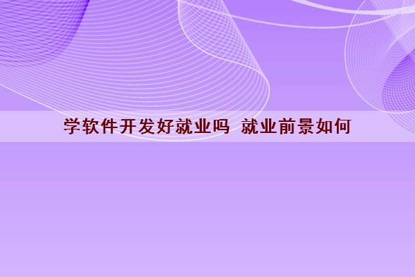 开云 开云体育官网学软件开发好就业吗 就业前景如何(图1)