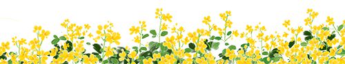 【新余招聘】9月26日高薪Kaiyun 开云招聘会计、电商运营、主播等热门岗位(图1)
