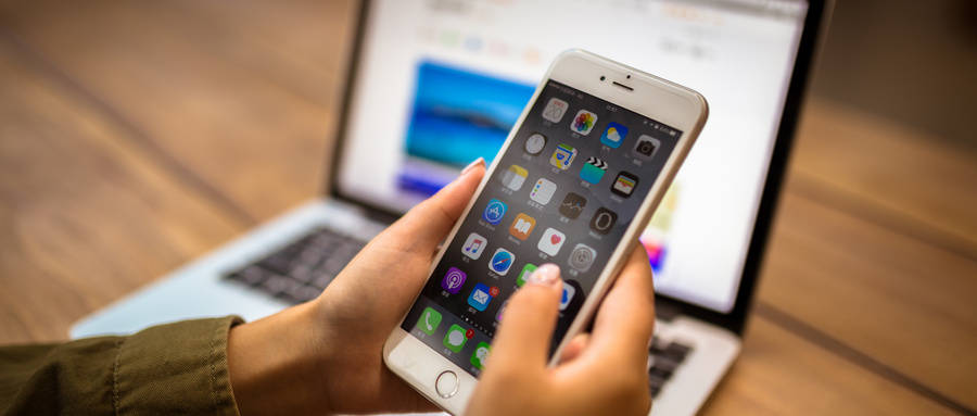 开源网校开发的基本流程开云APP 开云官网入口(图1)