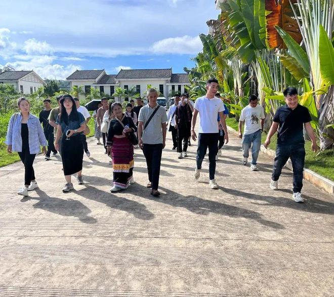 勐海团县委：多措并举做好电商直播培训助开云 开云体育平台力青年“云端”逐梦(图4)