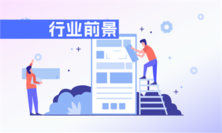 软件行业市场分析开云APP 开云官网入口(图10)