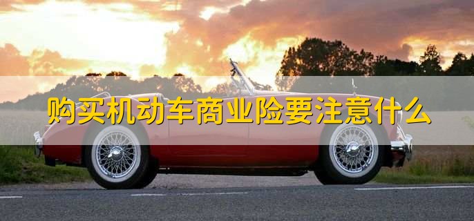 机动车商业险是Kaiyun 开云什么意思(图2)