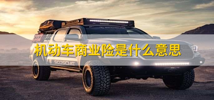 机动车商业险是Kaiyun 开云什么意思(图1)
