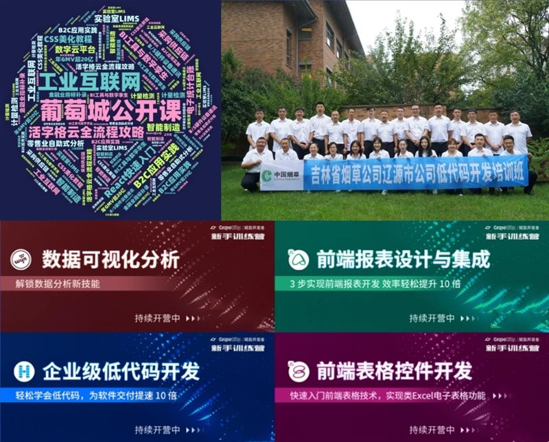 行稳致远进而有为 葡萄城2023年开云APP 开云官网入口度报告(图7)