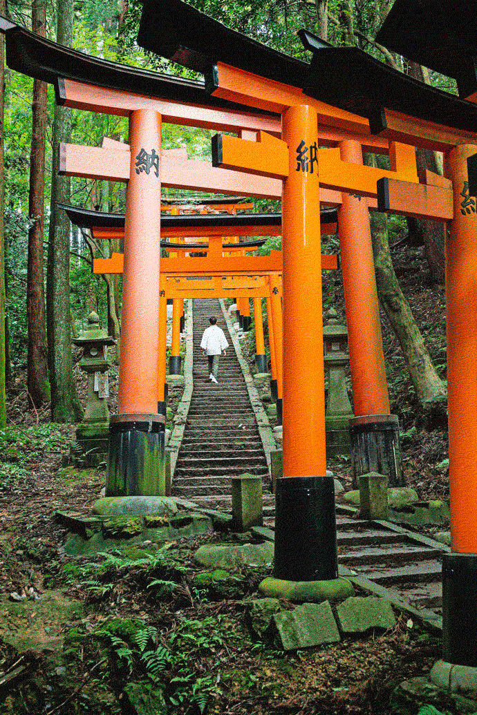 探寻日本饮食文化之旅的高分电影Kaiyun 开云！(图17)