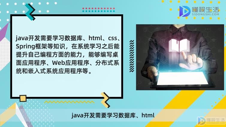 java开发是属于什么开云体育 开云官网专业的(图2)