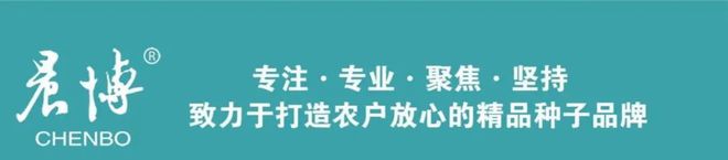 开云体育 Kaiyun.com 官网入口种业商务网与晨博种业举行了“抖快看”全程发力“晨博985”大单品流量增长签约仪式(图4)
