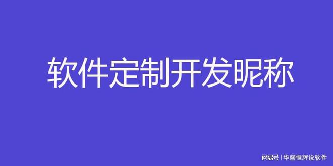 开云 开云体育官网怎么找到合适的专业的软件开发公司呢(图1)