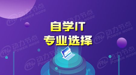 开云体育 开云官网学哪个软件编程语言好学(图1)