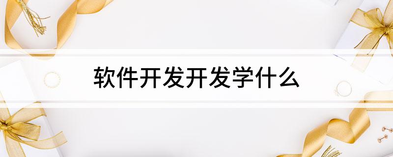 开云体育 Kaiyun.com 官网入口软件开发开发学什么(图1)